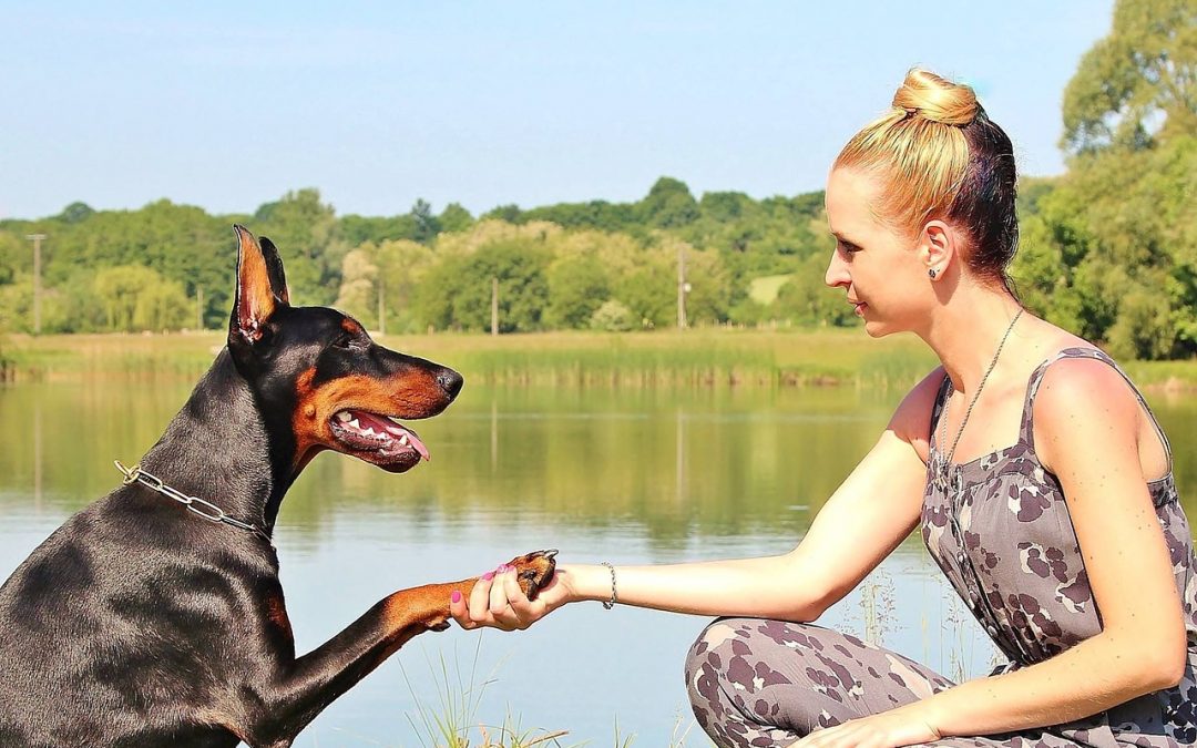 L'histoire de Julie et son chien "Julius" ou qu'est-ce que le deuil animalier?