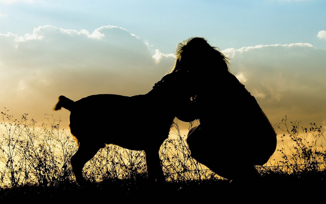 Un chien partage votre vie? Il aimerait vous dire ceci…