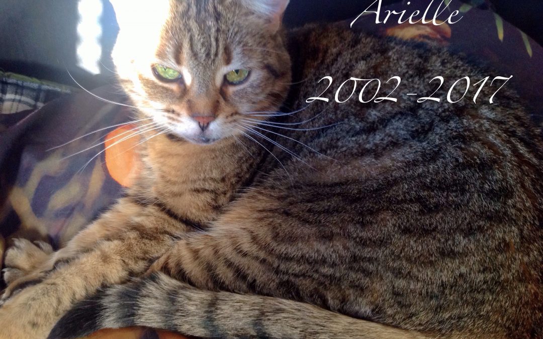 Au revoir Arielle, mon doux coeur de maman