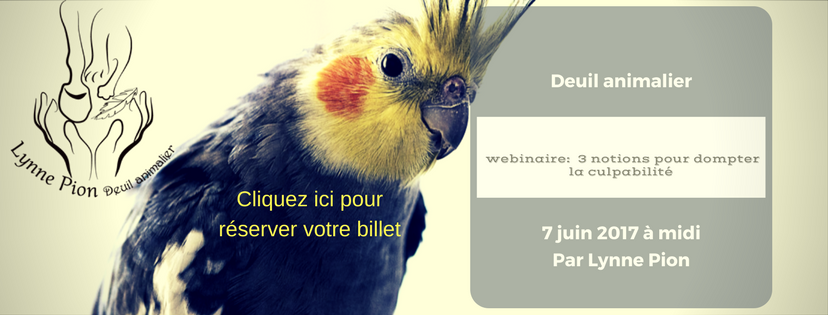 Webinaire: 3 notions pour dompter la culpabilité avant ou suite au décès de mon animal de compagnie